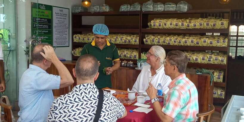 Shore Excursion Colombo Highlight Tour from Passenger Pier. - Port Pickup That Saves Your Cruise Day