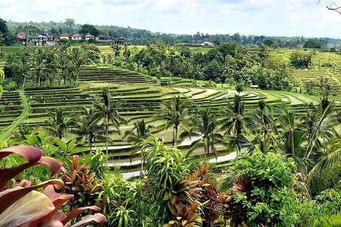 Shore Excursion Cruise Ship from Benoa and Celukan Bawang Port - Budget Reality Check: What’s Included, What You’ll Pay Yourself
