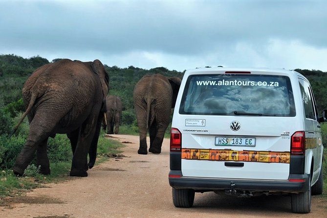 Shore Excursion Cruise Ships Port Elizabeth, Addo Elephant Park - Timing, Comfort Breaks, and Rain: How the Day Holds Up