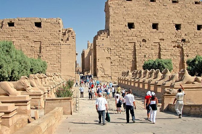 Shore Excursion: Day tour to Luxor from Safaga port - Safaga pickup to Luxor arrival: the value of a real guide in transit