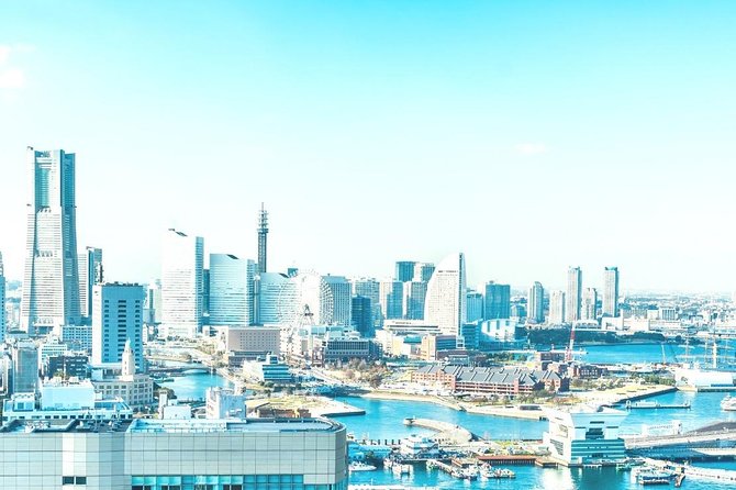 Shore Excursion: Day Trip To Tokyo From Yokohama Port - Price and value: is $287.54 per person worth it?
