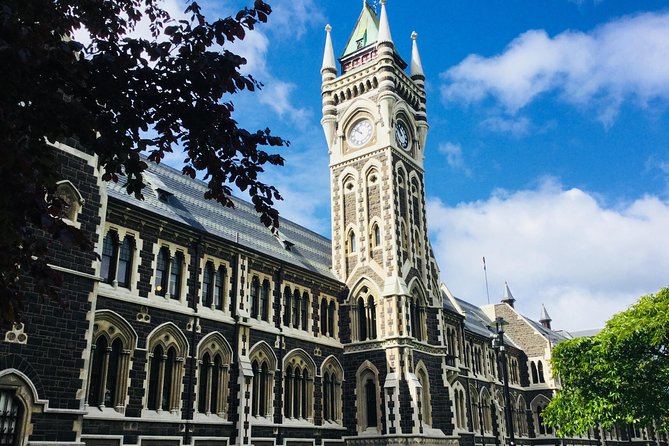 Shore Excursion: Dunedin City, Otago Peninsula, Castle Gardens & Olveston Tour - Key highlights worth knowing before you go