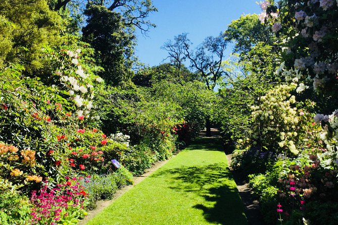 Shore Excursion: Dunedin City, Otago Peninsula, Castle Gardens & Olveston Tour - Botanic Garden + University of Otago: a quick lesson in how Dunedin grew