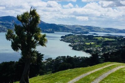 Shore Excursion: Dunedin City, Otago Peninsula, Castle Gardens & Olveston Tour - The first look at Dunedin: Baldwin Street and Signal Hill in 20 minutes total