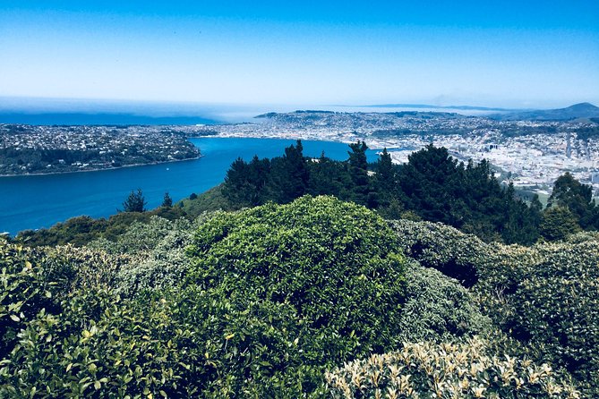 Shore Excursion: Dunedin City, Otago Peninsula, Castle Gardens & Olveston Tour - First Church of Otago and Dunedin Railway Station: architecture you’ll remember