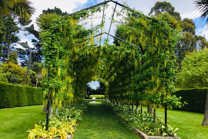Shore Excursion: Dunedin City, Otago Peninsula, Castle Gardens & Olveston Tour - Olveston Historic Home: what a guided house tour actually gives you