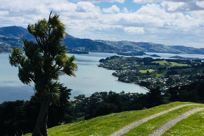 Shore Excursion: Dunedin City, Otago Peninsula, Castle Gardens & Olveston Tour - The first look at Dunedin: Baldwin Street and Signal Hill in 20 minutes total