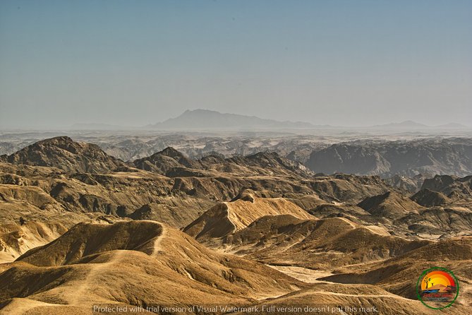 Shore Excursion - Flamingos ,Dune7,Welwitschia, Moonlandscape,Oasis,Swakopmund. - Price and Value: What You Pay $171.51 For (and What You Still Need to Budget)