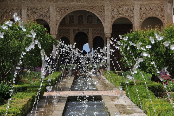 Shore Excursion from Almeria: Alhambra and Generalife Gardens - What to bring (and what to prepare for Alhambra rules)