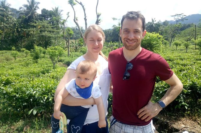Shore Excursion From Colombo port to Ingiriya Tea Plantation & back for 2 People - From Colombo Port to Ingiriya: The Easy Private Pickup