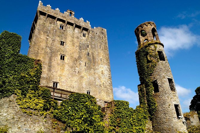 Shore Excursion From Cork: Including Blarney Castle and Kinsale - Blarney Castle and Gardens: The Real Experience Behind the Photo Op