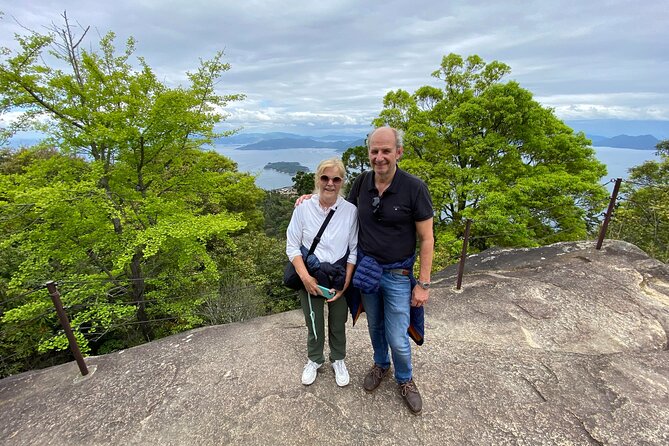 Shore Excursion from Hiroshima Port : Private Tour in Hiroshima - Should You Book This Private Hiroshima Port Tour?