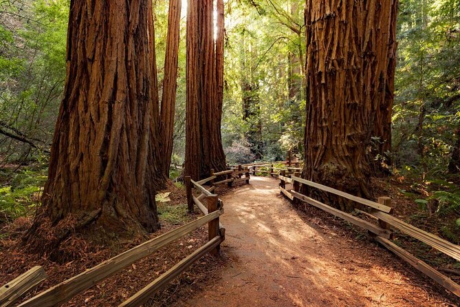 Shore Excursion from SF: Guided Tour to Muir Woods and Sausalito - Key Points at a Glance