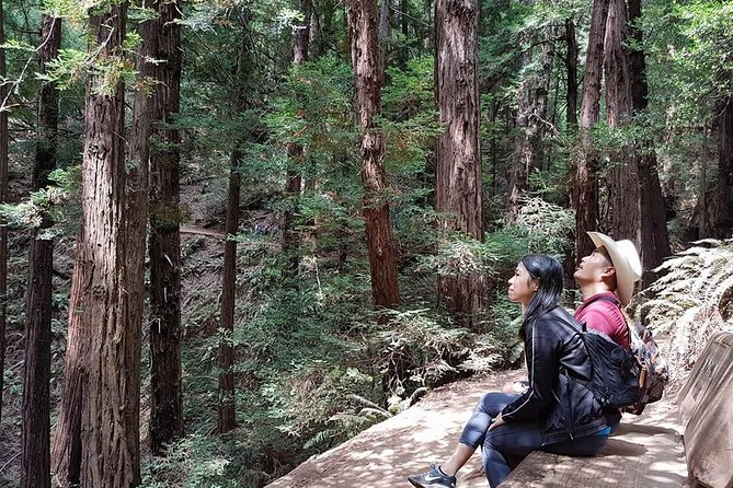 Shore Excursion from SF: Guided Tour to Muir Woods and Sausalito - Price and Value: What $84.15 Gets You