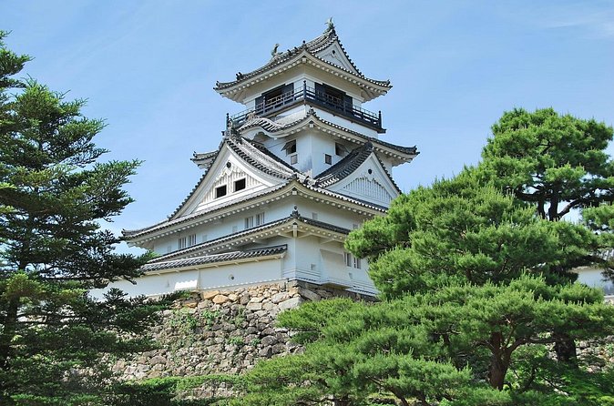 Shore Excursion Full Day Private Kochi Tour from Kochi port - Hirome Ichiba: Where You Eat Like a Local