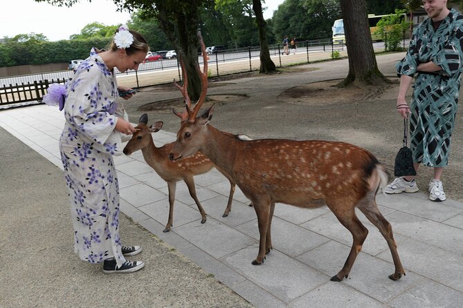 Shore Excursion: Full Day Private Nara Tour from Osaka /Kobe port - Key points before you go