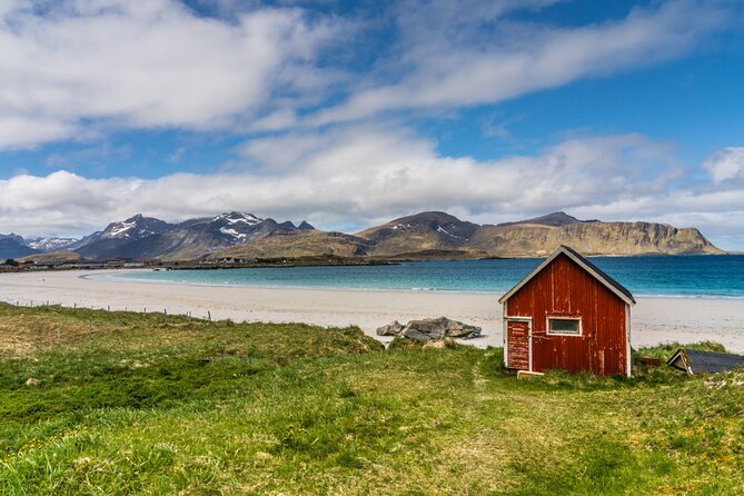 Shore Excursion Full day Private Tour in Lofoten - A cruise-day Lofoten plan that actually works