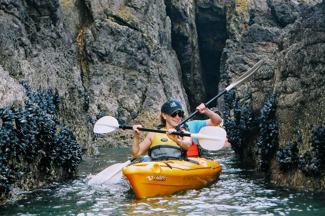 Shore Excursion Guided Sea Kayaking through Akaroa Marine Reserve - Price and what $83.78 buys you on a port day
