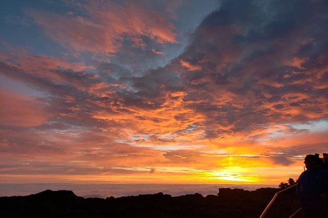 Shore Excursion: Haleakala Sunrise Tour for Pride of America Passengers - Cold-Wind Safety and Altitude: What You Must Plan For
