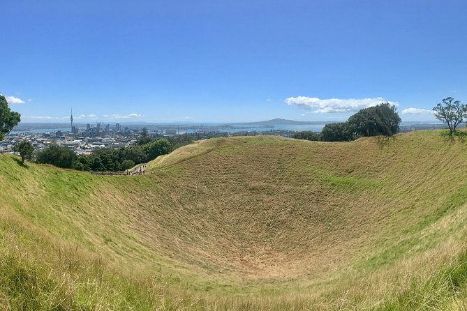 Shore Excursion: Half-Day Auckland Volcanoes Tour - Key highlights worth planning around