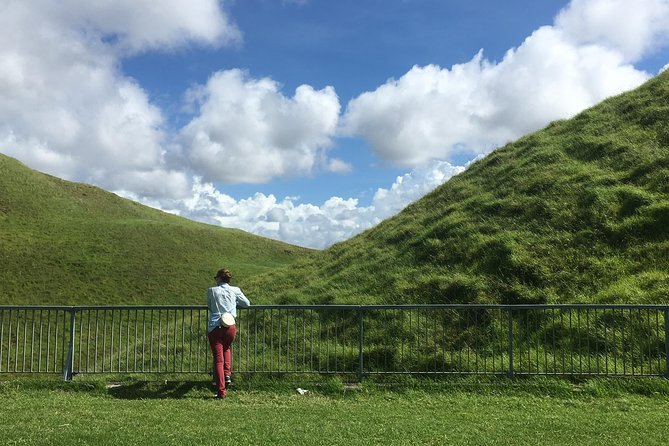 Shore Excursion: Half-Day Auckland Volcanoes Tour - What You’ll Learn: The Auckland Volcanic Field Made Simple