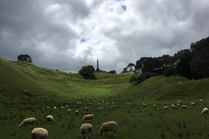 Shore Excursion: Half-Day Auckland Volcanoes Tour - Getting Picked Up at 148 Quay Street and Starting at 8:00