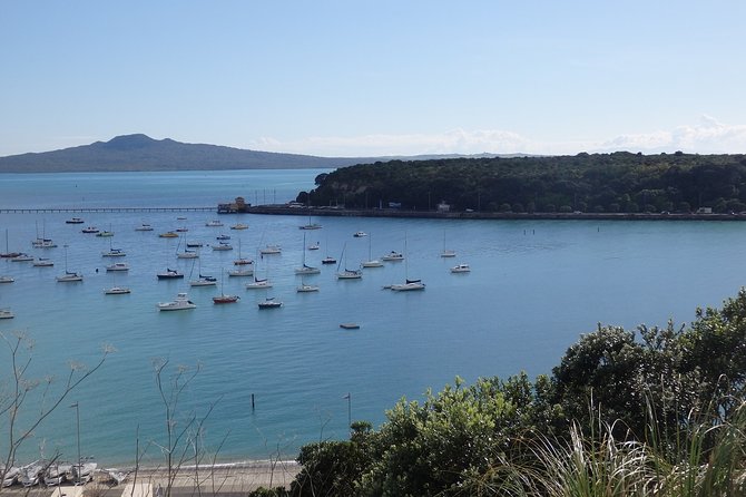 Shore Excursion: Half Day Small Group Auckland Scenic Tour - 4 HOURS - Port Pickup to Harbor Bridge in One Smooth Move
