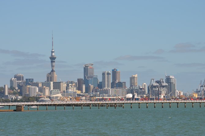 Shore Excursion: Half Day Small Group Auckland Scenic Tour - 4 HOURS - Winter Gardens in Auckland Domain: Glasshouse Beauty and Fernery Time