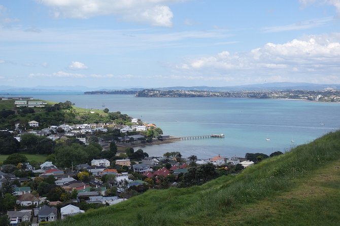 Shore Excursion: Half Day Small Group Auckland Scenic Tour - 4 HOURS - Auckland Harbour Bridge: 360° City Views Without the Wait