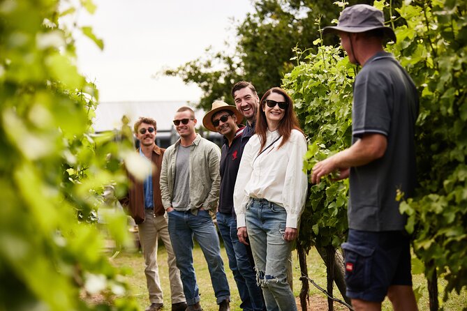 Shore Excursion Hobart and Coal River Valley - Puddleduck Vineyard: Wine Tastings and a Lunch You’ll Actually Remember