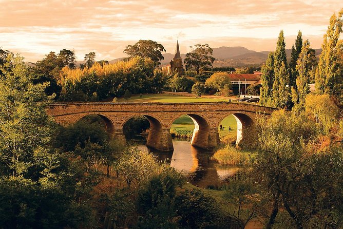 Shore Excursion: Hobart Highlights Day Tour - Why This Tour Works for a Cruise Day in Hobart