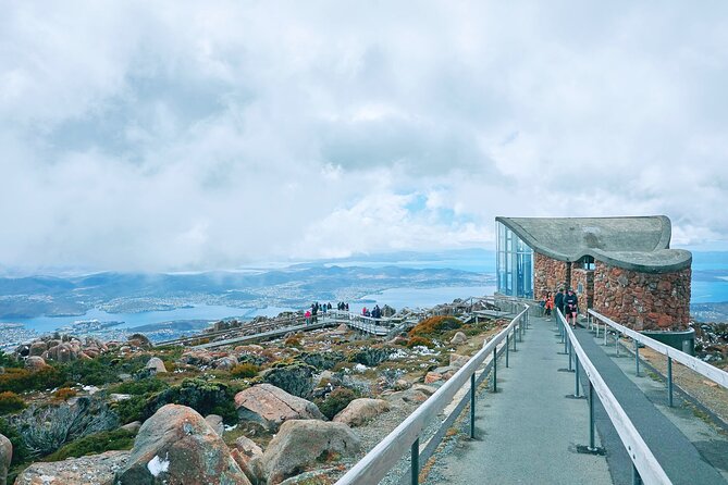 Shore Excursion-Hobart Wanderer - Mount Wellington: The Short Summit Stop That Can Still Deliver Big Views
