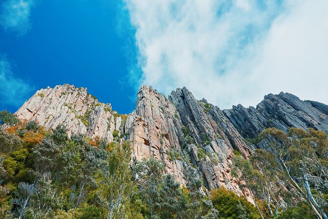 Shore Excursion: Hobart Wanderer - Hobart streets and a quick Tasmanian history setup