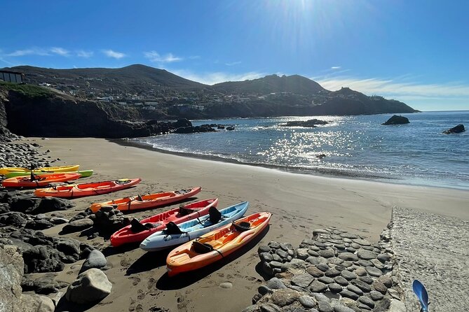 Shore Excursion: La Bufadora Blowhole, Kayak Adventure & Markets - Key points to know before you go