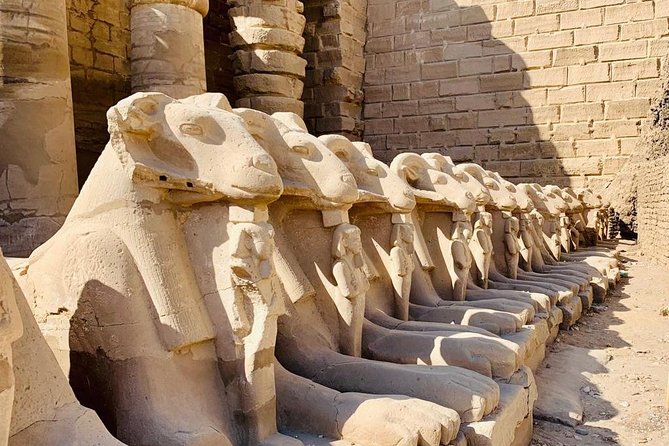 Shore Excursion - Luxor one day tour from Safaga Port - Karnak Temple complex: when scale becomes the story
