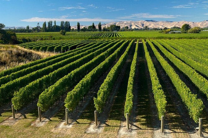 Shore Excursion Marlborough Wine Region Tour from Picton - Key Highlights Worth Planning Around