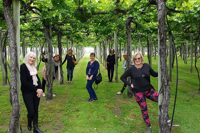 Shore Excursion Marlborough Wine Region Tour from Picton - Practical Tips Before You Go