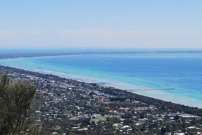 Shore Excursion Melbourne, Sights, Kangaroos, Koalas Lunch & Wine - Arthurs Seat: short visit, big Port Phillip Bay views