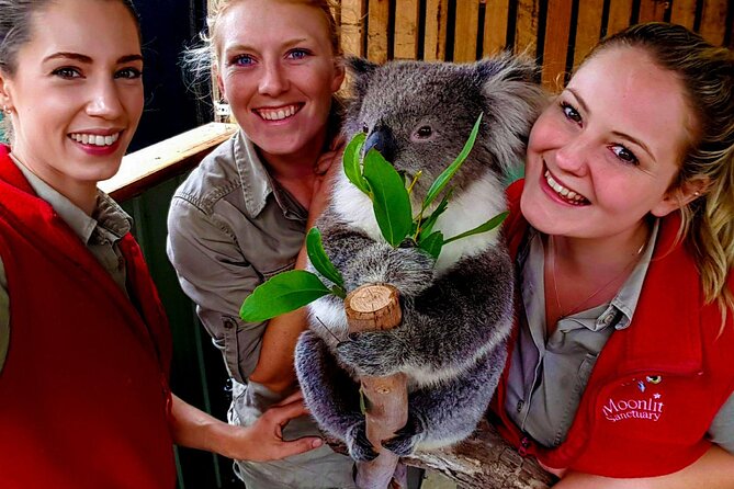 Shore Excursion Melbourne, Sights, Kangaroos, Koalas Lunch & Wine - Cruise timing: getting back before the ship leaves