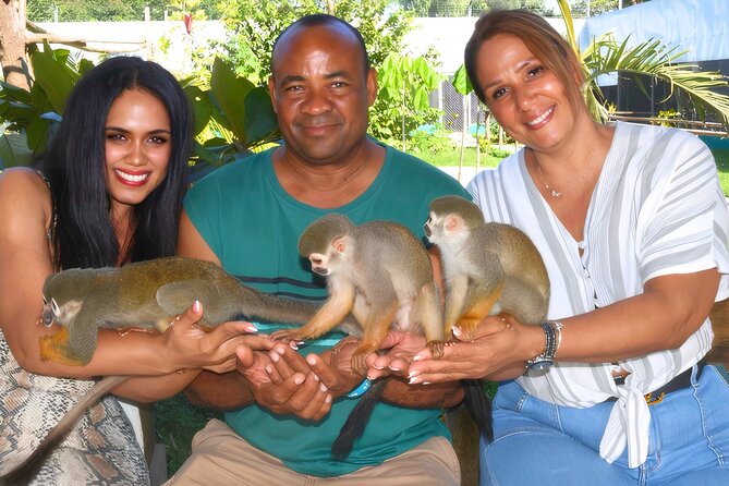 Shore Excursion Monkey Encounter and Puerto Plata City Tour - Key highlights worth planning around