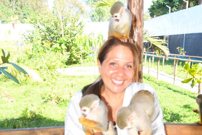 Shore Excursion Monkey Encounter and Puerto Plata City Tour - The Amber Museum and Cigar Stop: When Shopping Becomes a Cultural Break