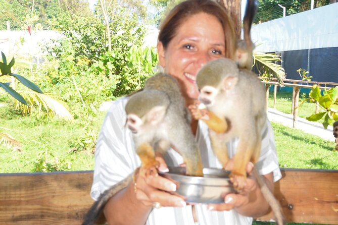 Shore Excursion Monkey Encounter and Puerto Plata City Tour - Central Park Independencia: A Classic Way to Read the Town