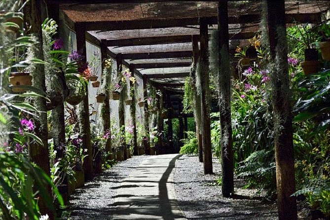 Shore Excursion-Nadi Mudpools,Sleeping Giants Gardens,Markets, Temple & Shopping - Garden of the Sleeping Giant: Orchids in Mountain Shade