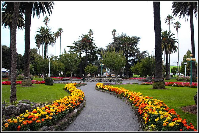 Shore excursion - Napier sight seeing/Art Deco Tour, - Key points to know before you go