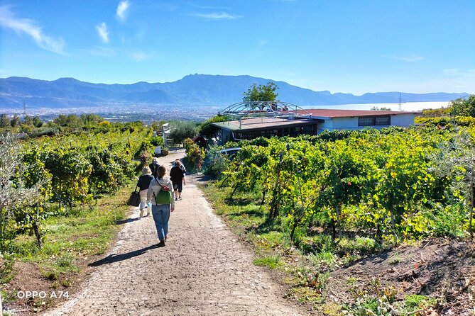 Shore excursion Naples city tour, Pompeii & Winery Cantina del Vesuvio - Stop 3: Naples panoramic tour for orientation, photos, and that Vesuvius moment
