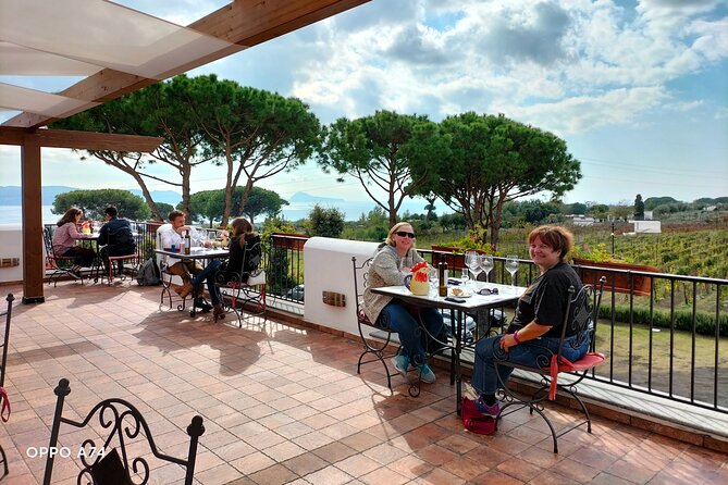 Shore excursion Naples city tour, Pompeii & Winery Cantina del Vesuvio - Who this excursion suits best (and who might want a different plan)