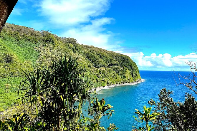 Shore Excursion of Maui - Price and Value: What $220 Really Buys You