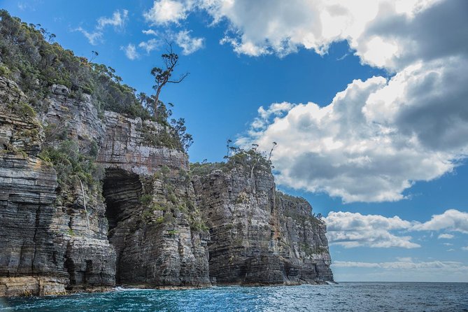 Shore Excursion - Port Arthur - Tasman Peninsula - Key highlights to know before you go