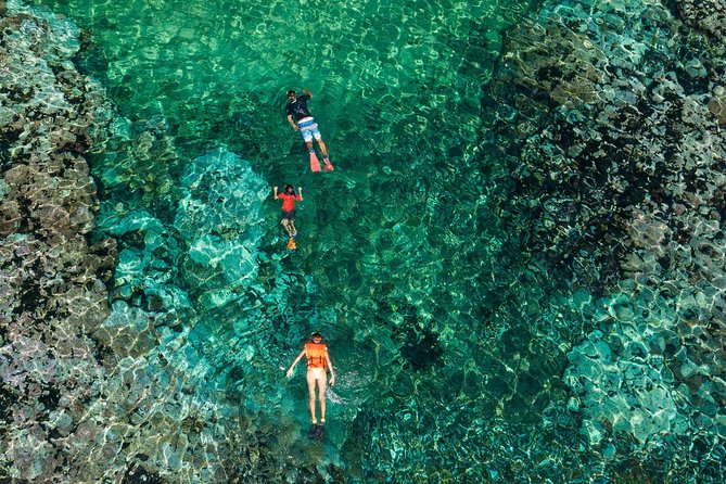 Shore Excursion Premium Family Snorkeling Experience - 3 hours at Playa La Entrega: the kind of snorkeling that fits a cruise day
