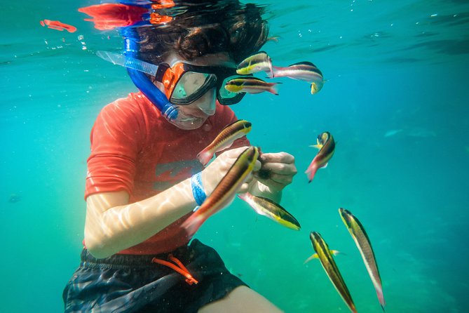 Shore Excursion Premium Family Snorkeling Experience - Start times, weather, and how to plan your day like a pro